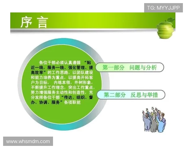 法甲外援市场适应性综合总结及未来发展预测