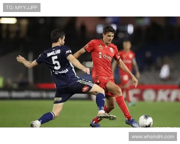 澳甲联赛焦点大战墨尔本主场迎战阿德莱德巅峰对决即将上演