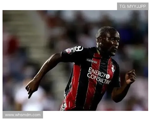 英超南非球员的体育贡献及文化融合分析